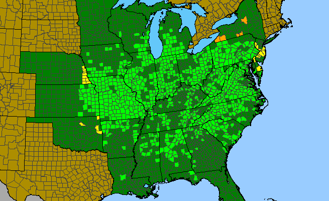 The range of Arnoglossum atriplicifolium